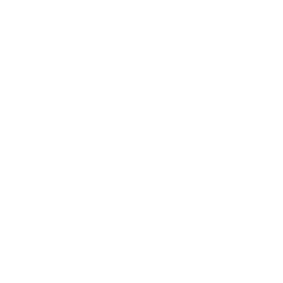 Bullseye Icon White